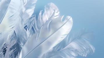 a bright blue background with one white feather, in the style of soft and dreamy pastels, glimmering light effects, nature inspired imagery, fairycore, soft focal points, generate ai photo