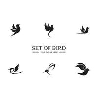 Bird logo images illustration design vector