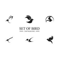 Bird logo images illustration design vector