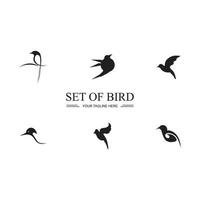 Bird logo images illustration design vector