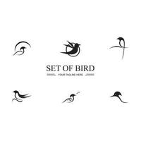 Bird logo images illustration design vector