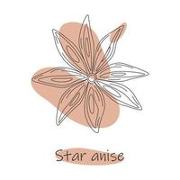 Contour drawing of star anise on abstract brown spots background with star anise lettering vector