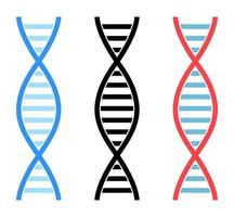 DNA strands flat icon vector