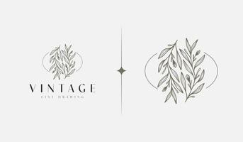 Leaf Flower Tree monoline. Universal creative premium symbol. Vector sign icon logo template. Vector illustration