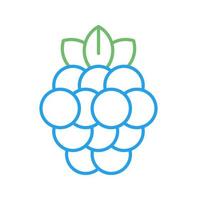 Raspberry Vector Icon