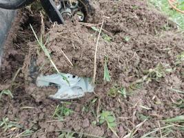 Plowing the land with a cultivator photo