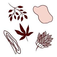 Plant design elements. Botanical banner with geometric shapes, lines and leaves, branches and plants. Set of vector illustrations. To create banners, postcards, flyers, various backgrounds.