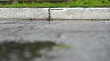 cerca arriba de piernas de un corredor en zapatillas. Deportes mujer trotar al aire libre, pisar dentro lodoso charco. soltero corredor corriendo en lluvia, haciendo chapoteo video