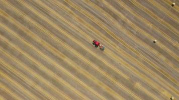 Aerial view of haymaking processed into round bales. Red tractor works in the field video