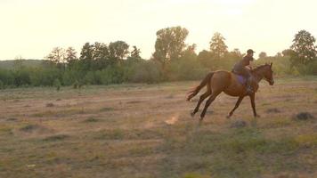 mulher equitação cavalo de galope video