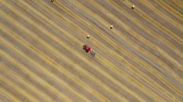 Aerial view of haymaking processed into round bales. Red tractor works in the field video