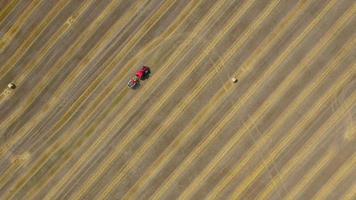 Aerial view of haymaking processed into round bales. Red tractor works in the field video