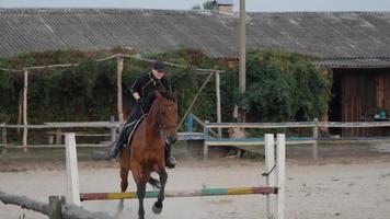 Woman riding horse by gallop video