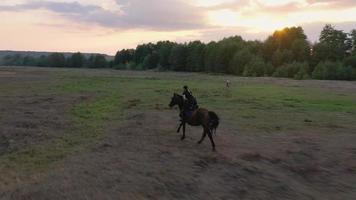 kvinna ridning häst förbi galopp video