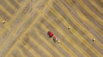 Aerial view of haymaking processed into round bales. Red tractor works in the field video