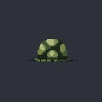 turtle shell in pixel art style vector