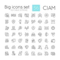 Consumer identity and access management linear icons set. Implementing CIAM. Customizable thin line symbols. Isolated vector outline illustrations. Editable stroke