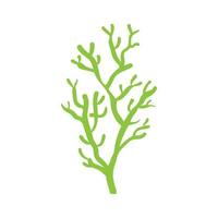 Coral icon vector. seaweed illustration sign. underwater world symbol or logo. vector