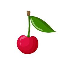 Cherry isolated on a white background. For labels, menus, poster, print, or packaging design. Vector illustration