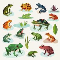 Set Of Different Types Frog Character With Leaves Element. vector