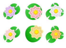 Water lily flower vector design illustration isolated on background