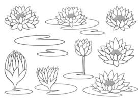 Water lily flower vector design illustration isolated on background