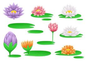 Water lily flower vector design illustration isolated on background