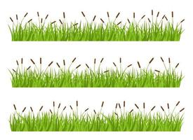 Grass with cattail vector design illustration isolated on white background