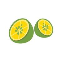 lime citrus slice keruk nipis vector