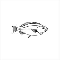 A fish vector line art work.