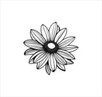 Daisy flower vector line art work.