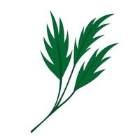 green twig on a white background. Design for logo, flyer, brand book vector