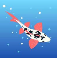 Illustration of a swimming Koi fish vector