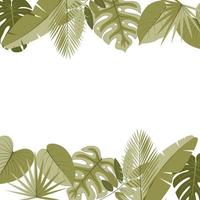 Tropical leaves on a white background vector