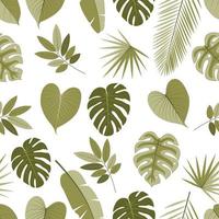 Tropical leaves pattren and palm leaves on a white background vector