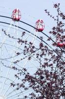 Focus on the branch with red leaves. Ferris wheel close-up out of focus behind the branches against the blue sky. Entertainment all year round. photo