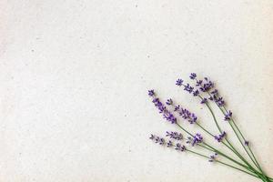 Natural lavender flowers on craft paper with space for text on the left. photo