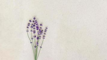 Natural lavender flowers on craft paper with space for text on the right. photo