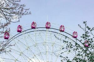 Ferris wheel behind the branches against the blue sky. Entertainment all year round. photo