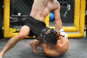Mixed Martial Art, When the opponent is knocked down throwing fists into an opponent's face or body will cause the opponent to raise his hand to defend and not counterattack photo