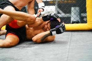 Mixed Martial Art, When the opponent is knocked down throwing fists into an opponent's face or body will cause the opponent to raise his hand to defend and not counterattack photo