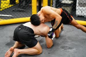 Mixed Martial Art, When the opponent is knocked down throwing fists into an opponent's face or body will cause the opponent to raise his hand to defend and not counterattack photo