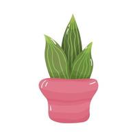 Cartoon potted houseplant - cute green cactus with spikes in a pink pot. Isolated on white background. vector