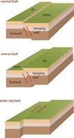 illustration of faults classification vector