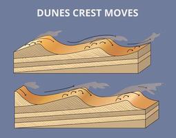 el dunas cresta se mueve infografía vector