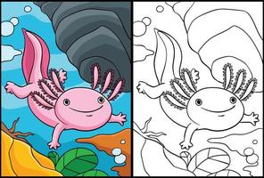 Axolotl Coloring Page Colored Illustration vector