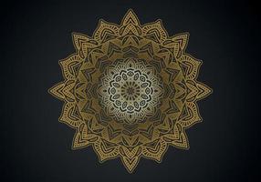 luxury ornamental mandala design background in gold color vector