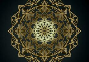 luxury ornamental mandala design background in gold color vector