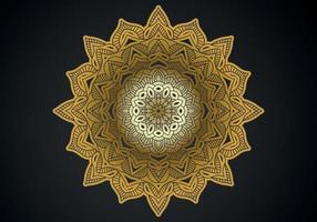 luxury ornamental mandala design background in gold color vector