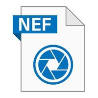 diseño plano moderno del icono de archivo nef para web vector